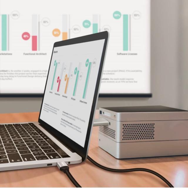 Type-C ϊ HDMI P[u X}z Galaxy iPad Pro MacBook erڑ HuluΉ