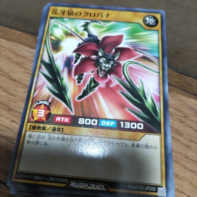 遊戯王 クロバナ < トレーディングカード  遊戯王 クロバナ  < トレーディングカードの