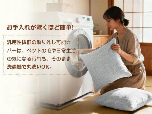 NbV 2Zbg NbVJo[ 2t k[hNbV ׂȂ  􂦂 w  45~45cm  CeA/Ct 