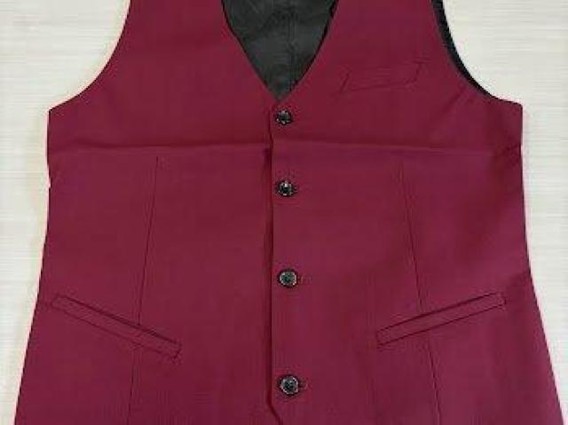 ベスト ジレベスト 尾錠付き 結婚式 フォーマル パーティー ビジネス オールシーズン Mサイズ レッド < 男性ファッション ベスト ジレベスト 尾錠付き 結婚式 フォーマル パーティー ビジネス オールシーズン Mサイズ レッド < 男性ファッションの