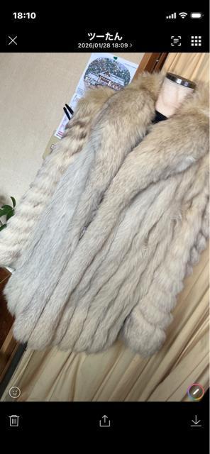 ���r�`�f�`�@���C����FOX�R�[�g �� �����t�@�b�V������ 