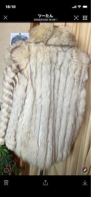 ���r�`�f�`�@���C����FOX�R�[�g �� �����t�@�b�V������ 