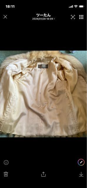 ���r�`�f�`�@���C����FOX�R�[�g �� �����t�@�b�V������ 