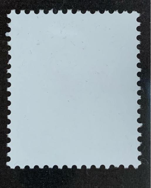 �y���������z���ʐ؎� 30�~ 1�� �V���{�̎��R�F�L�^�L�c�l�B �� �z�r�[�� 