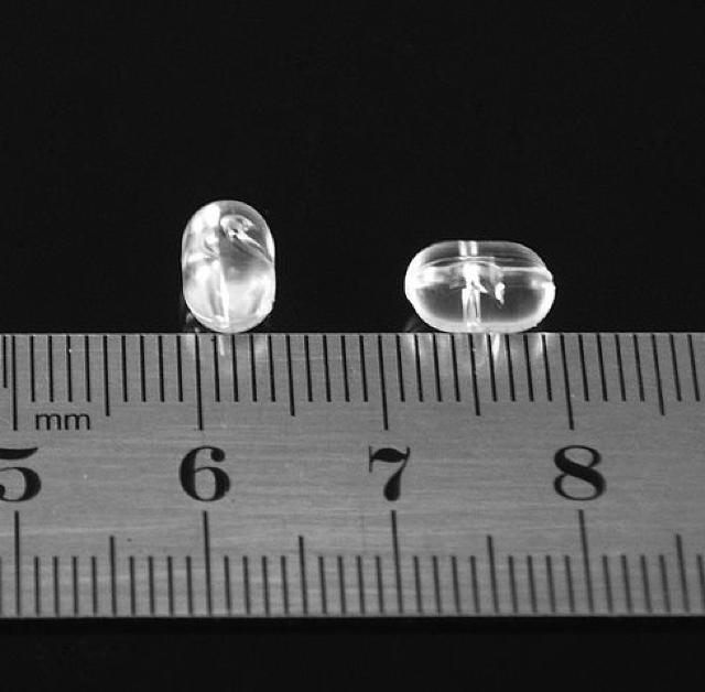 クロスドリル楕円ビーズ 回転ビーズ ハリスビーズ 絡み止め200個 < レジャー/スポーツ クロスドリル楕円ビーズ 回転ビーズ ハリスビーズ 絡み止め200個 < レジャー/スポーツの