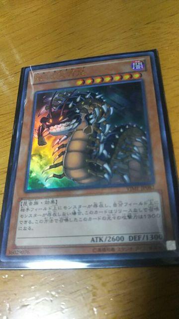 遊戯王 地獄大百足 < トレーディングカード  遊戯王 地獄大百足  < トレーディングカードの