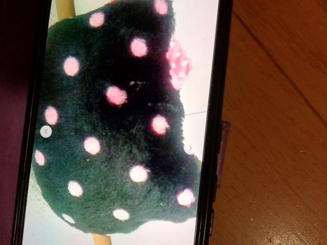 キ?ィーフェ イスクッション後ろもリボンドッド柄ブラック系 < ホビー  キ?ィーフェ イスクッション後ろもリボンドッド柄ブラック系 < ホビーの