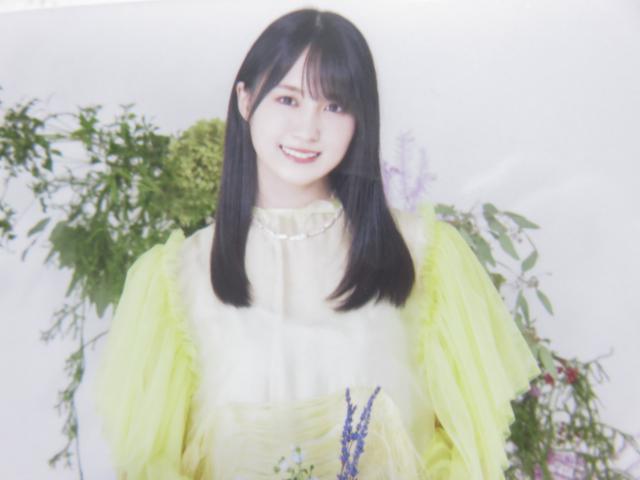 sNewtT؍46/y2022N*Lucky Bag[ʐ^]  ^gObY 