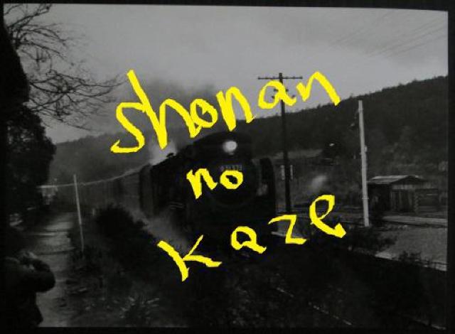 lg@֋̎傾ucTPTVQv̌̃LrlTCY̎ʐ^   zr[ 