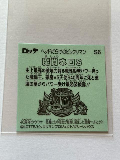 wbh炯̃rbN}NO.S6 уlS