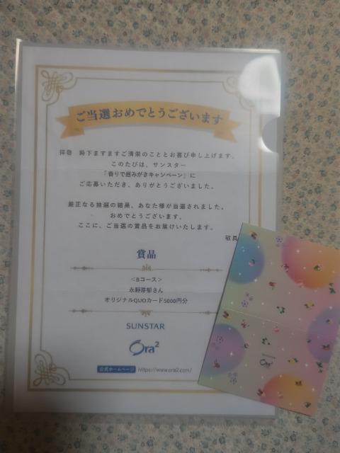 �N�I�J5000 �i���� '25 �T���X�^�[ �I�[���c�[  ���g�p �� �`�P�b�g/������ 