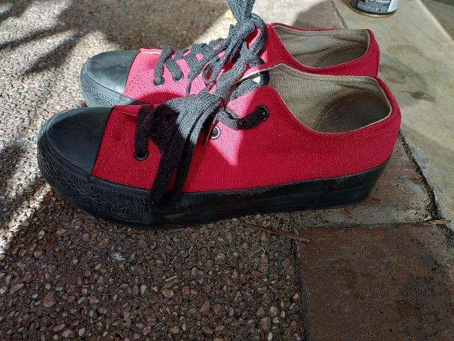 Xj[J[  COLZA    [Jbg  TCY\L fl̐Ŗ23.5cm  t@bV 