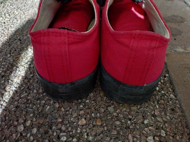 Xj[J[  COLZA    [Jbg  TCY\L fl̐Ŗ23.5cm  t@bV 