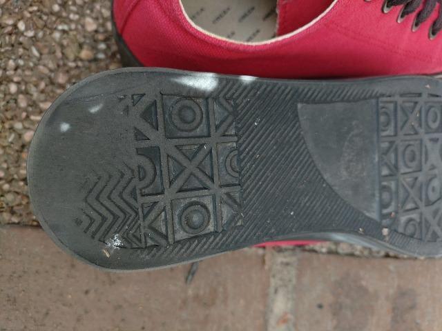 Xj[J[  COLZA    [Jbg  TCY\L fl̐Ŗ23.5cm  t@bV 