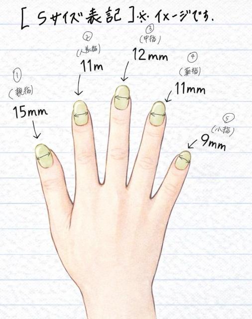 �W�F���l�C���`�b�v S�T�C�Y �u���E���n �����E�`�F�b�N���f�U�C�� �� ����/�R�X��/�l�C���� 