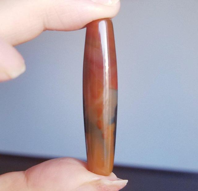 �֌Á@���Ŋ�΁@�V��@�� �� �y�b�g/��|/���|�� 