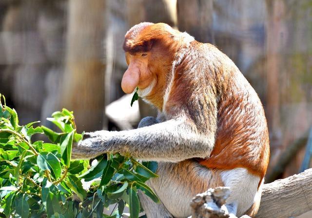 ����΂ɏ΂��Ă͂����Ȃ���E��24�����S4���t���Z�b�g �� CD/DVD/�r�f�I�� 