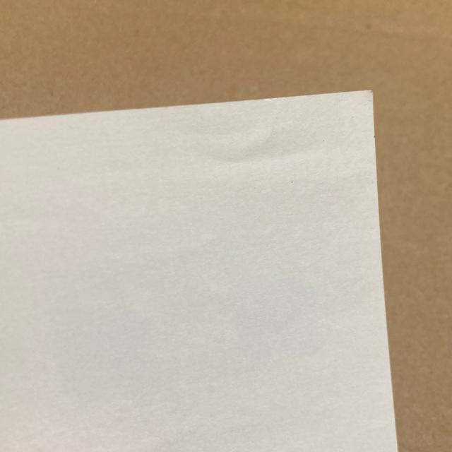 520�~���@�؎�@�����ĂȂ��̉ԃV���[�Y�@��8�W�@�V�[���؎�@���� �� �z�r�[�� 