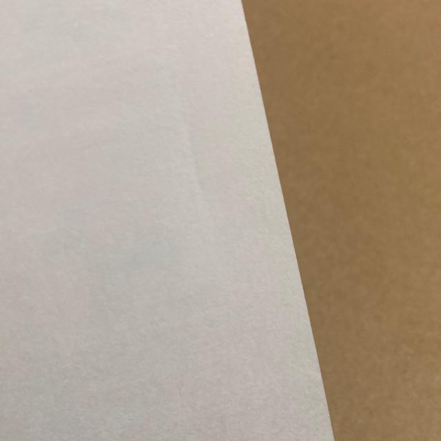 520�~���@�؎�@�����ĂȂ��̉ԃV���[�Y�@��8�W�@�V�[���؎�@���� �� �z�r�[�� 