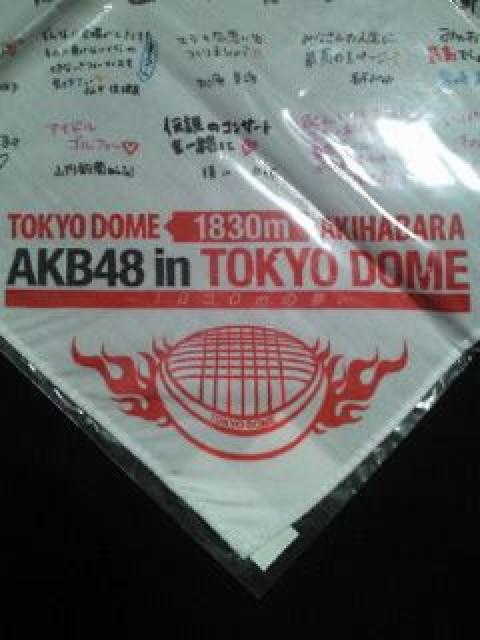 AKB48 h[ Cu RT[g 񂹏 o_i zCg   ^gObY 