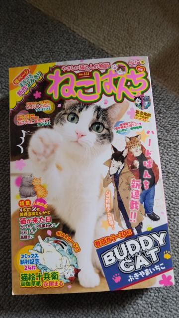 ☆ねこぱんち 桜猫号 < 本/雑誌  ☆ねこぱんち 桜猫号  < 本/雑誌の
