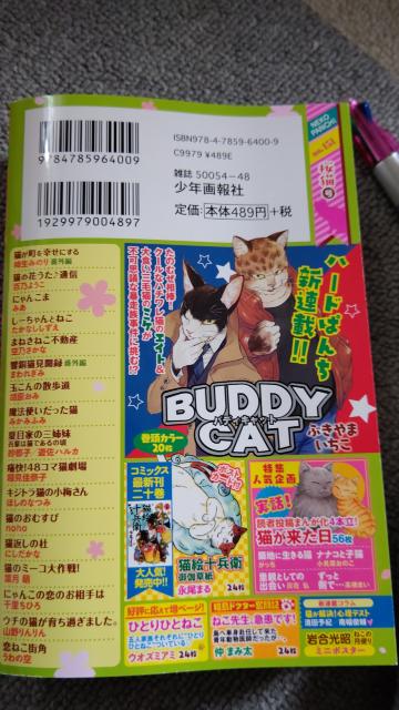 ☆ねこぱんち 桜猫号 < 本/雑誌  ☆ねこぱんち 桜猫号 < 本/雑誌の