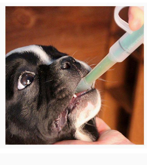 □犬猫ペット用□投薬給水スポイトシリンジ□経口投薬注入型□小動物□ < ペット/手芸/園芸  □犬猫ペット用□投薬給水スポイトシリンジ□経口投薬注入型□小動物□ < ペット/手芸/園芸の