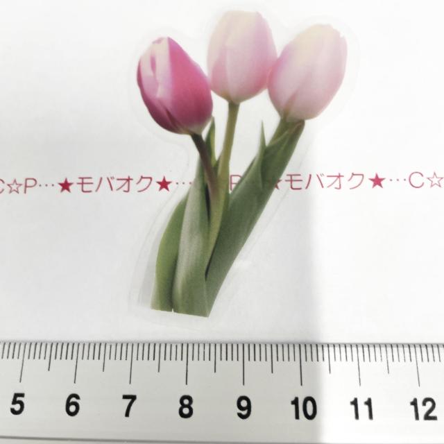 �`���[���b�v�̃R���[�W���V�[���@334  �� �C���e���A/���C�t�� 