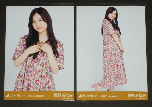 T؍46@݂Ȃ݁@ʐ^QZbg@ gfUC   ^gObY 