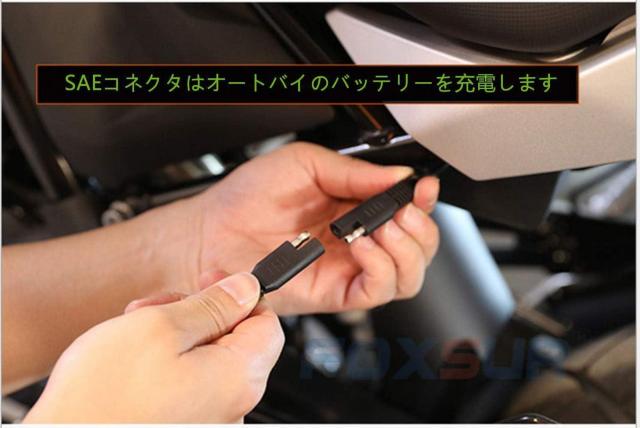 RlN^ I[goC̃obe[[d SAE[dP[u  /oCN