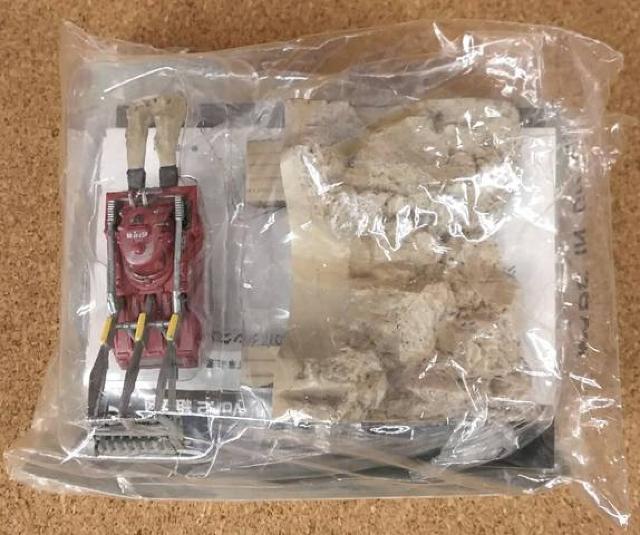 Ri~SF[r[ZNVuT_[o[hvƃWI}@  zr[ 