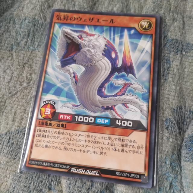 VY@C̃EFUG[   g[fBOJ[h 