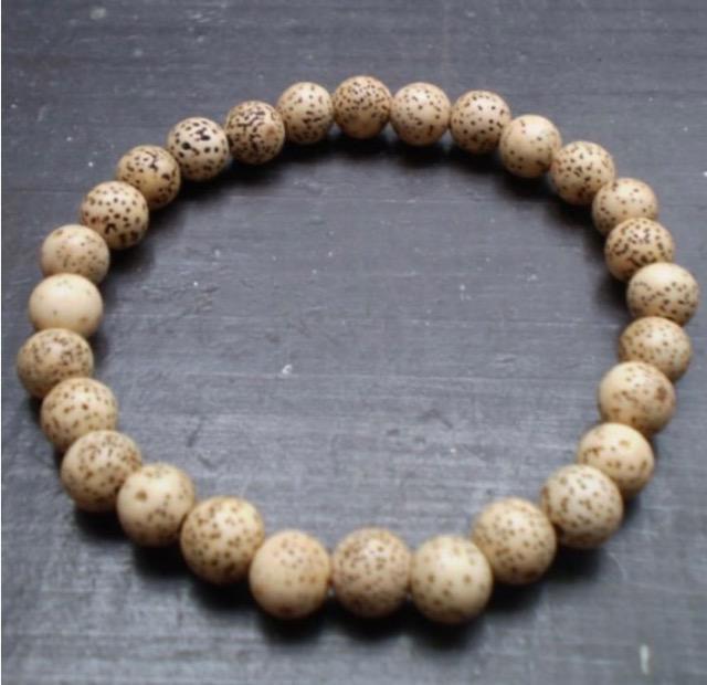 6~ʁ@uXbg@hDNV   ANZT[/v 