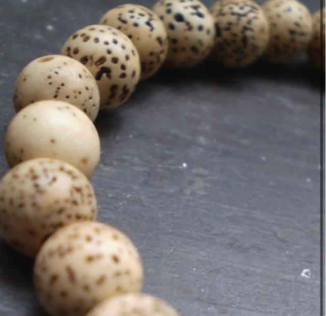 6~ʁ@uXbg@hDNV  ANZT[/v 