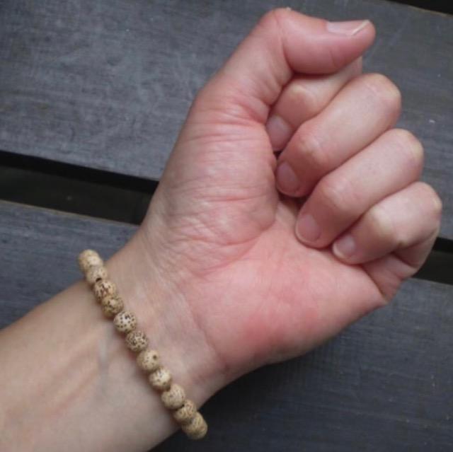 6~ʁ@uXbg@hDNV  ANZT[/v 