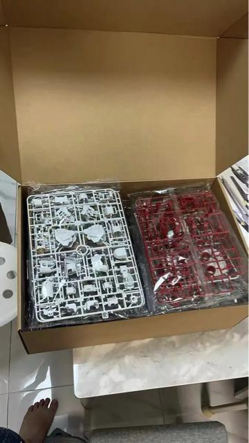 ySOLOMON/\z1/100 MG GP-02A TCTX ]ʃfJ[A jbgt gvf  zr[ 