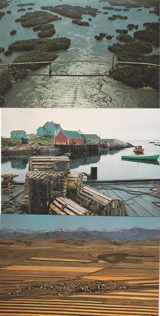 Ji_ X֊G͂81970N 3yF-3z   zr[ 