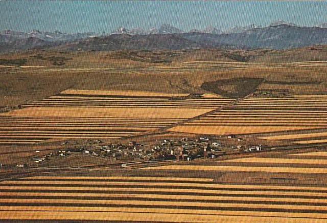 Ji_ X֊G͂81970N 3yF-3z  zr[ 