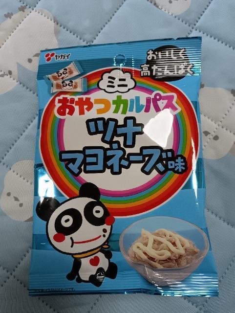KĈJpXAci}l[Y 