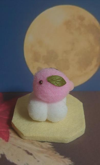 nhChJbvI||aَqwcqxg  ybg/|/| 