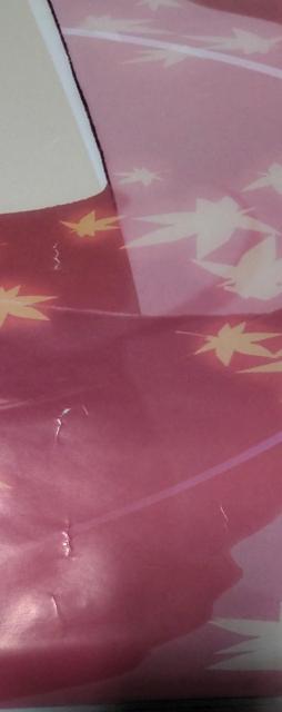 Blu-rayDVD  4ȂłXlCN Εq B2|X^[ 撅wғT  Aj/R~bN/LN^[ 