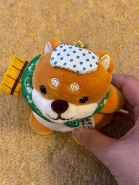 �����n���V���[�Y�@�Č��ʂ�����݃}�X�R�b�g�^�M�C �� ��������� 