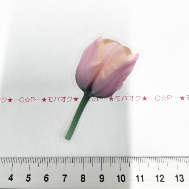 �`���[���b�v�̃R���[�W���V�[���@342  �� �C���e���A/���C�t�� 