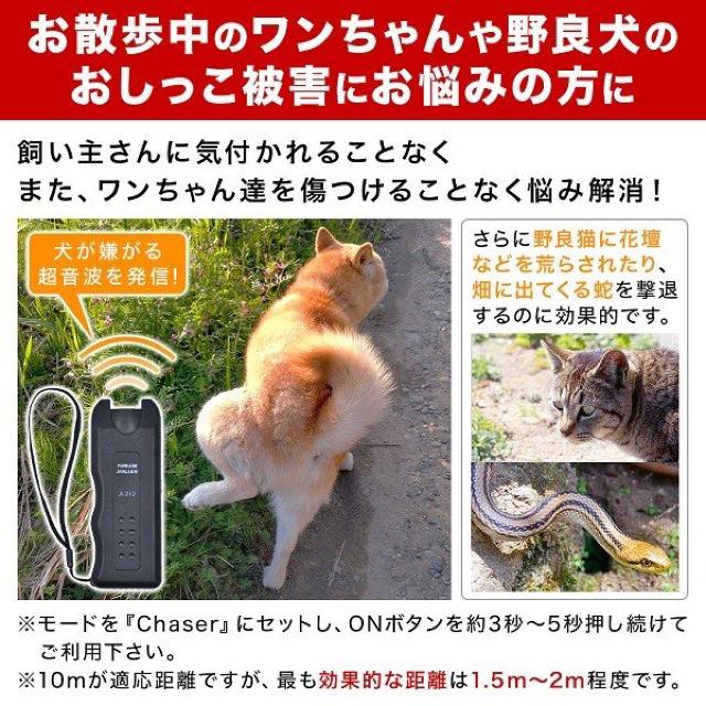  ʖi g  ފ ybg  Ck L   Ɠd/AV 