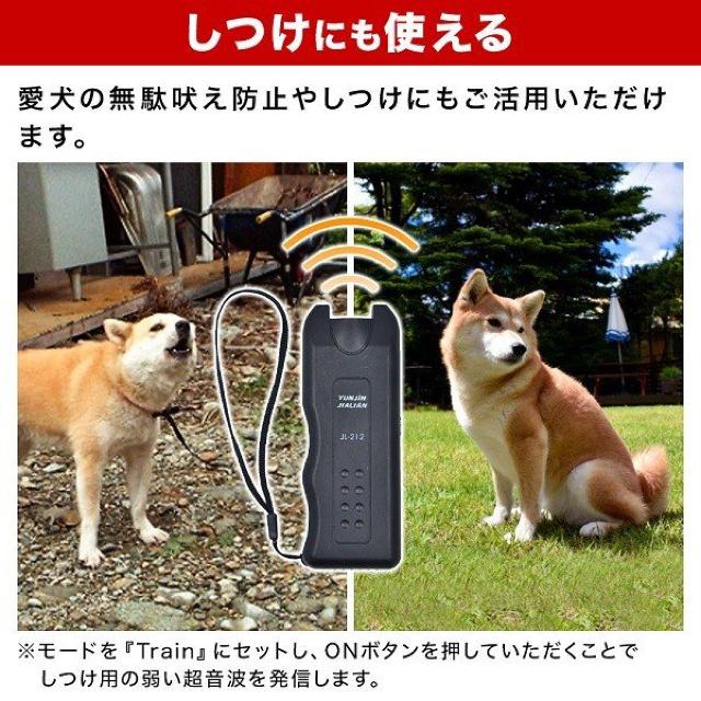  ʖi g  ފ ybg  Ck L  Ɠd/AV 