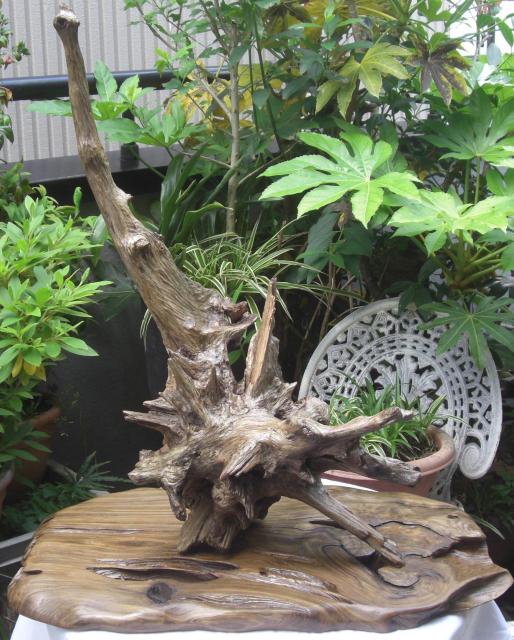 u/R؃RNVÖؒuuZbgÕi!!0501  CeA/Ct 