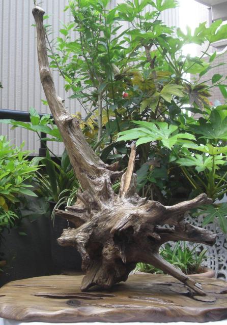 u/R؃RNVÖؒuuZbgÕi!!0501  CeA/Ct 