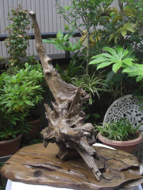 u/R؃RNVÖؒuuZbgÕi!!0501  CeA/Ct 