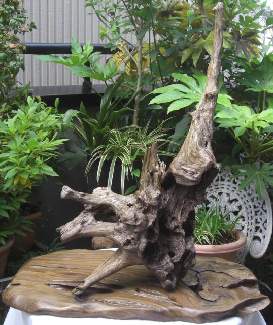 u/R؃RNVÖؒuuZbgÕi!!0501  CeA/Ct 