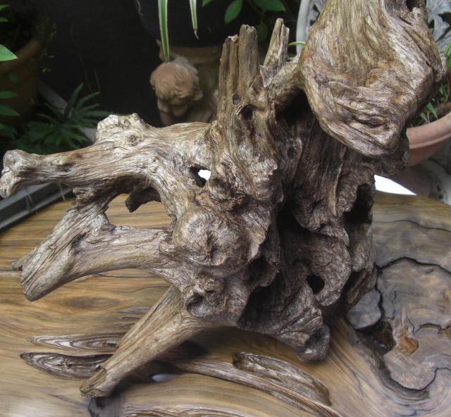 u/R؃RNVÖؒuuZbgÕi!!0501  CeA/Ct 